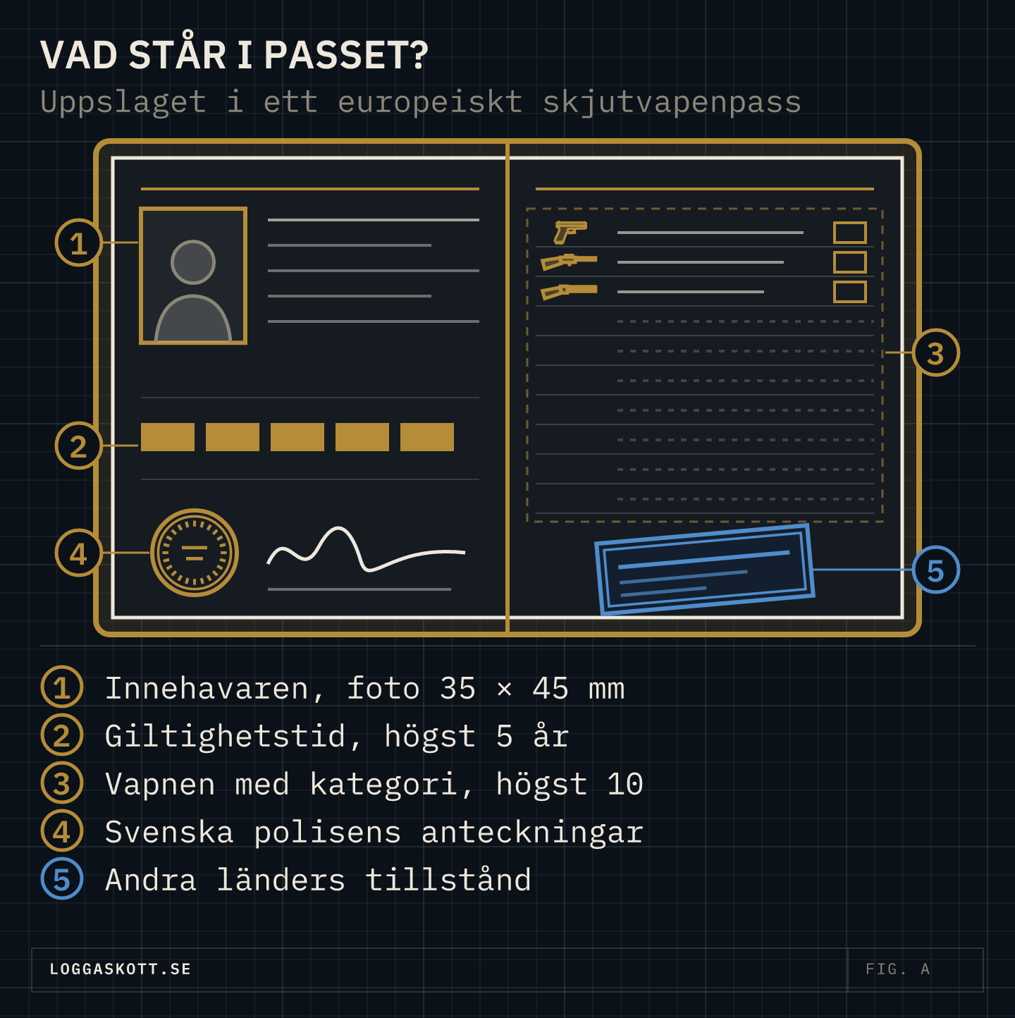 Ett uppslaget europeiskt skjutvapenpass med fem numrerade fält: innehavaren med foto 35 × 45 mm, giltighetstiden på högst fem år, vapenlistan med kategori och plats för högst tio vapen, svenska polisens anteckningar och andra länders tillstånd.